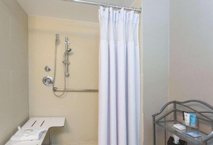 اتاق دلوکس مخصوص معلولین, Sonesta Miami Airport