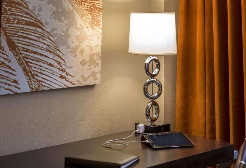 اتاق اجرایی با تخت بزرگ, Sonesta Miami Airport