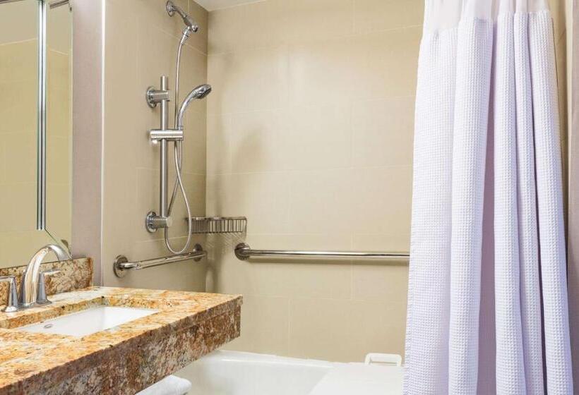 اتاق لوکس با تخت بزرگ, Sonesta Miami Airport