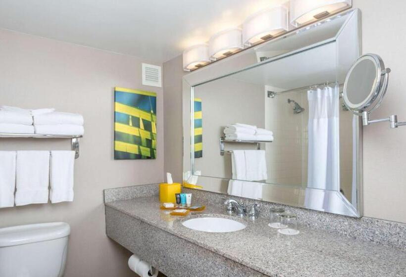 اتاق استاندارد با تخت بزرگ, Sonesta Miami Airport