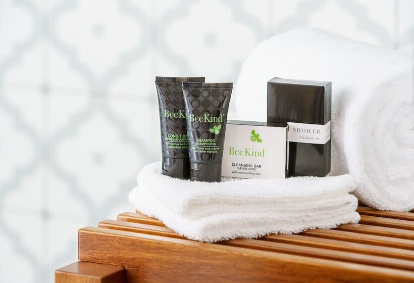 سوئیت برای معلولان, Spero, Vignette Collection, An Ihg