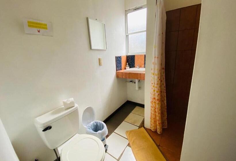 اتاق استاندارد چهار تخته, Sunset Rooms