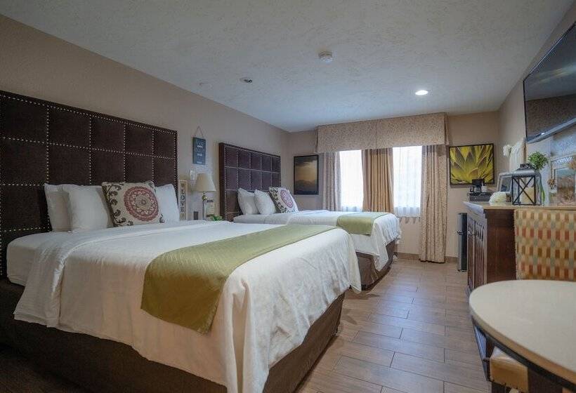 اتاق استاندارد, Baja San Diego   A Boutique