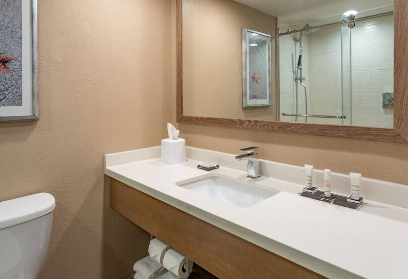 Suite Adapted for people with reduced mobility, Clearwater Beach Marriott Suites On Sand Key