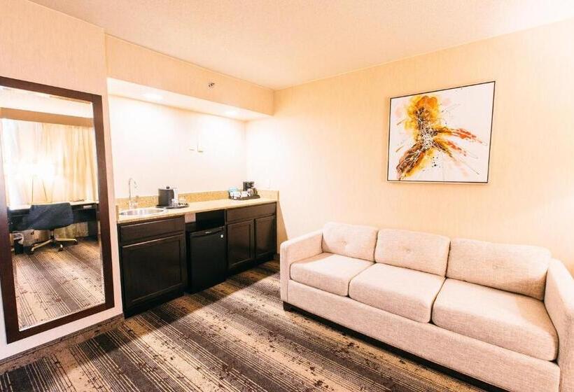 اتاق استاندارد با تخت بزرگ, Crowne Plaza Hotel Harrisburg Hershey, An Ihg
