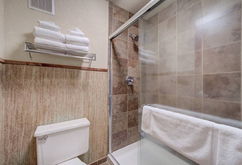 Quarto standard, Holiday Inn West Yellowstone