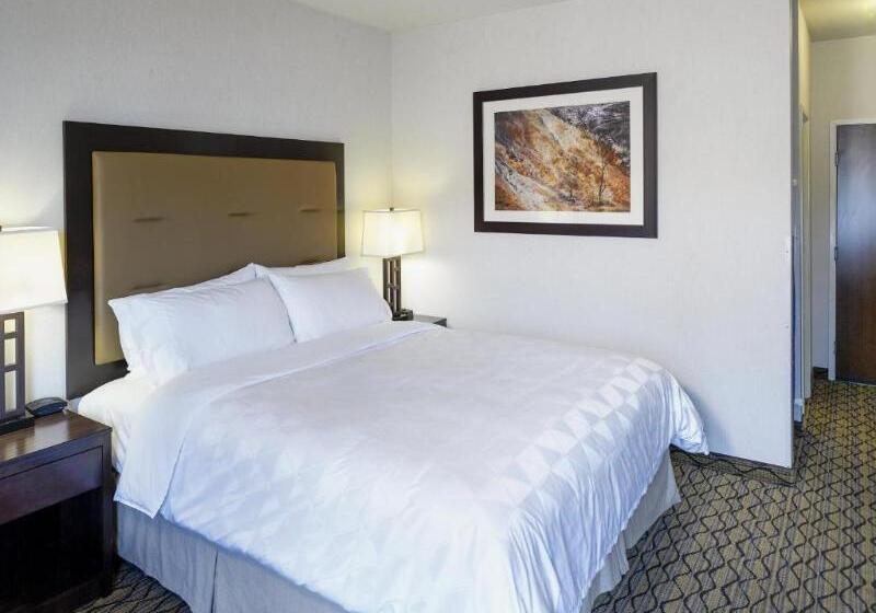 اتاق استاندارد با تخت بزرگ, Holiday Inn West Yellowstone