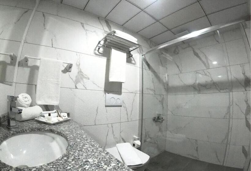 اتاق استاندارد چهارنفره با بالکن, Asi̇wa
