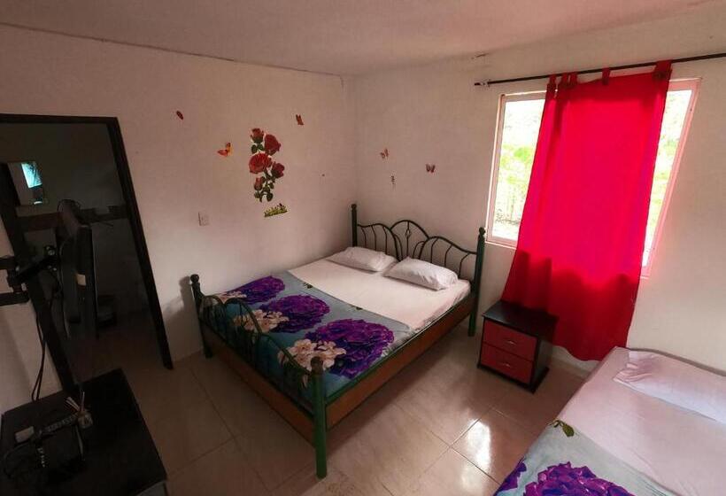 اتاق استاندارد سه نفره, Finca Hotel Los Cocos