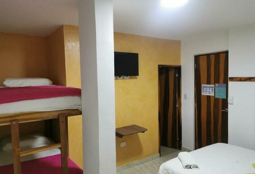اتاق خانوادگی, Hostal Casa Roma