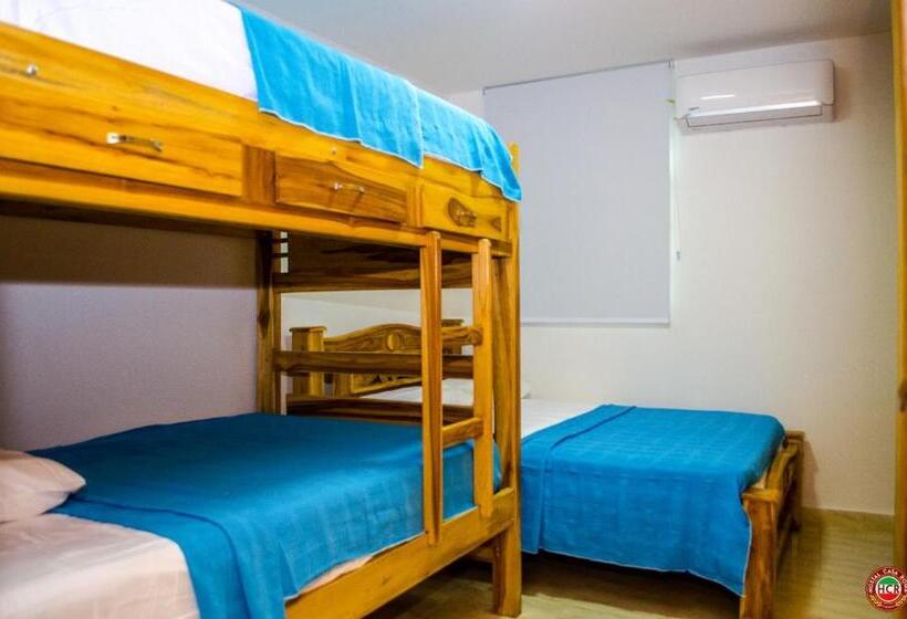 اتاق خانوادگی, Hostal Casa Roma