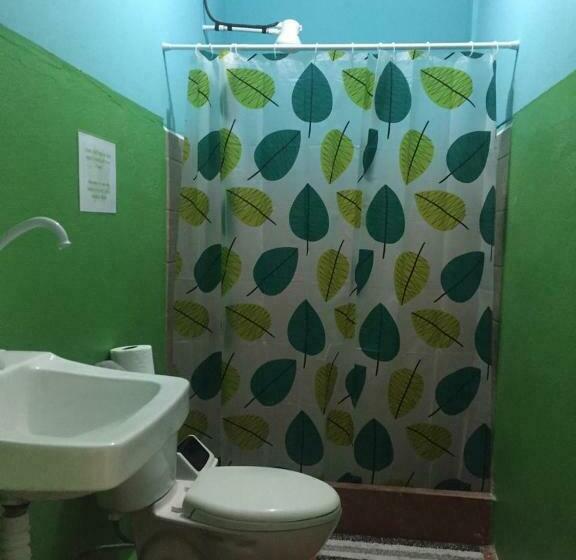 اتاق استاندارد با سرویس بهداشتی مشترک, Madre Selva Hostel