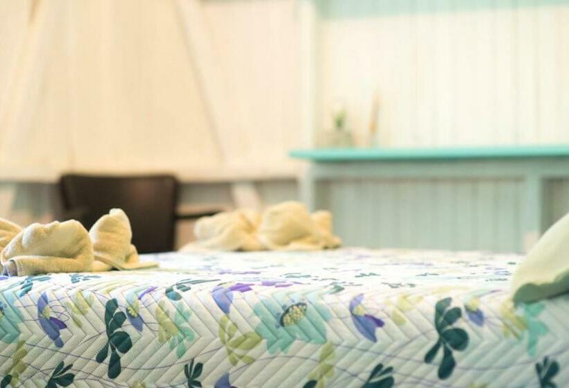 اتاق استاندارد با سرویس بهداشتی مشترک, Madre Selva Hostel