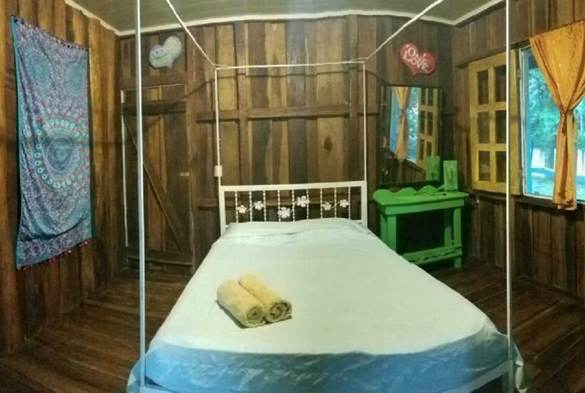 اتاق استاندارد با سرویس بهداشتی مشترک, Madre Selva Hostel