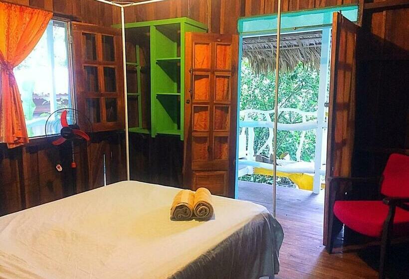 اتاق استاندارد با سرویس بهداشتی مشترک, Madre Selva Hostel