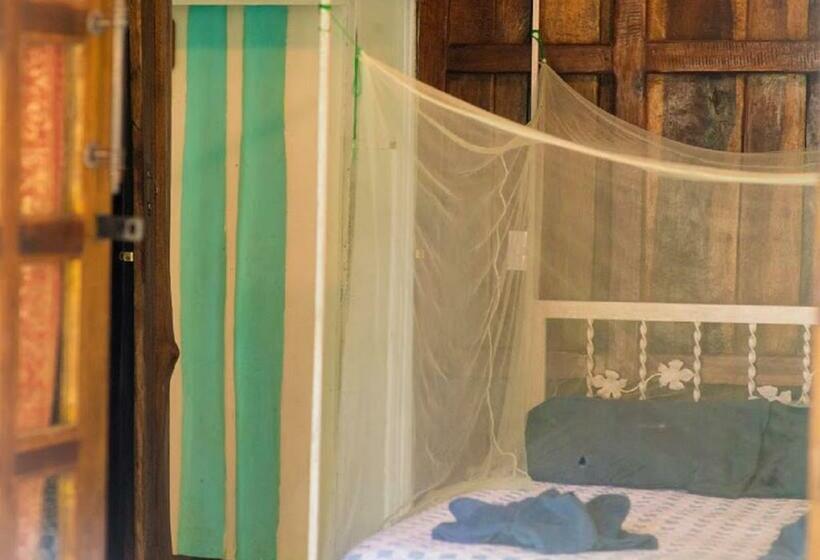 اتاق استاندارد با سرویس بهداشتی مشترک, Madre Selva Hostel