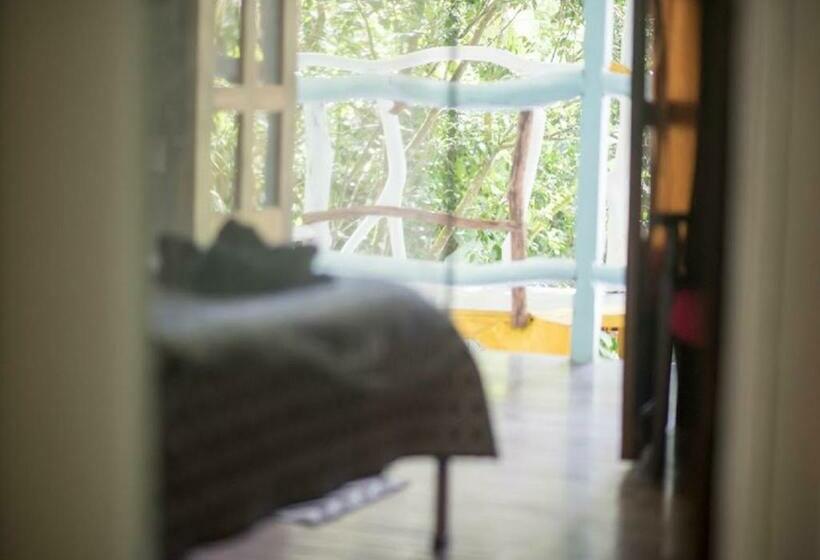 اتاق استاندارد با سرویس بهداشتی مشترک, Madre Selva Hostel
