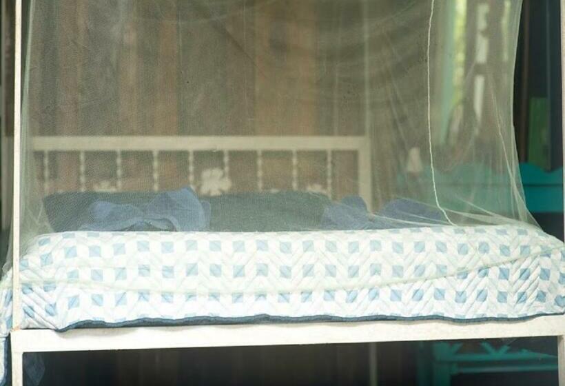 اتاق استاندارد با سرویس بهداشتی مشترک, Madre Selva Hostel
