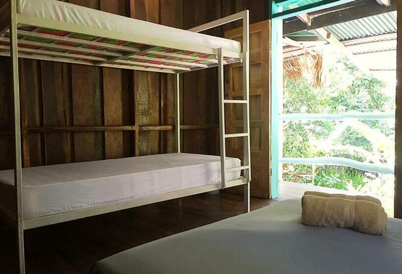 اتاق خانوادگی با سرویس بهداشتی مشترک, Madre Selva Hostel