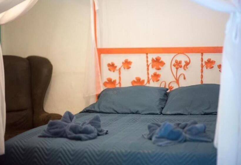 اتاق استاندارد با سرویس بهداشتی مشترک, Madre Selva Hostel