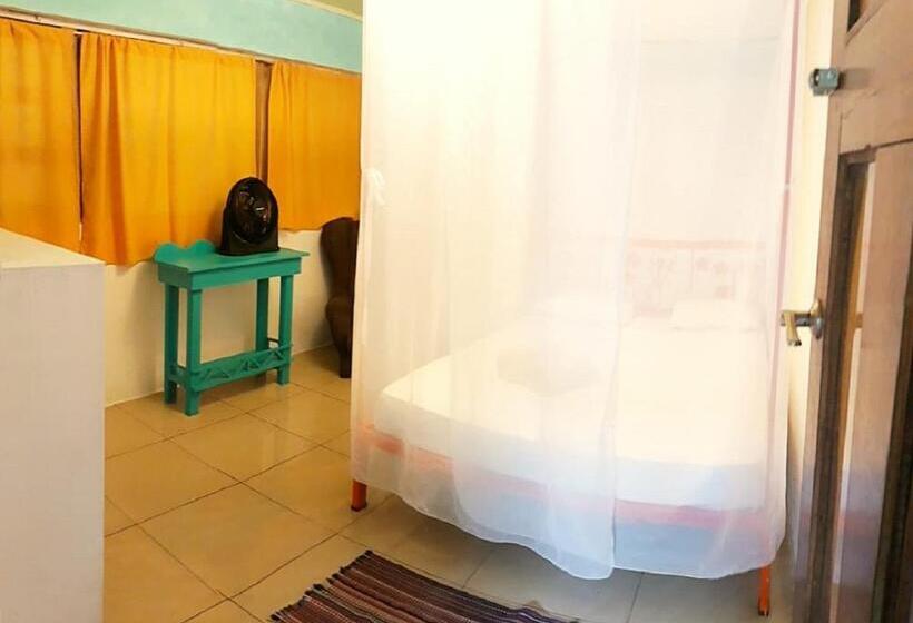 اتاق استاندارد با سرویس بهداشتی مشترک, Madre Selva Hostel