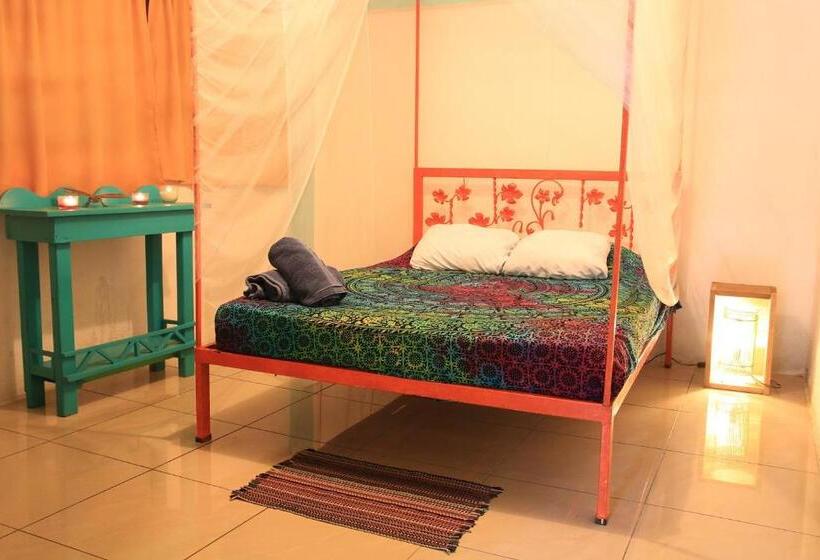 اتاق استاندارد با سرویس بهداشتی مشترک, Madre Selva Hostel
