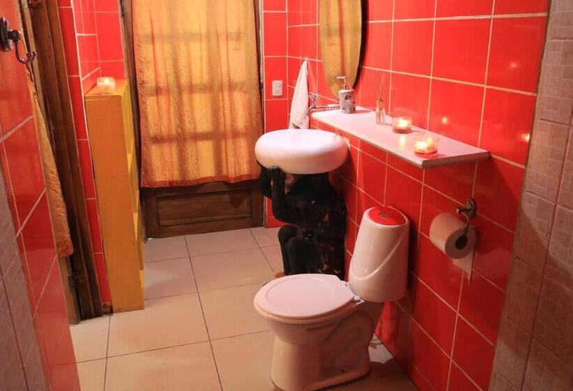اتاق استاندارد, Madre Selva Hostel