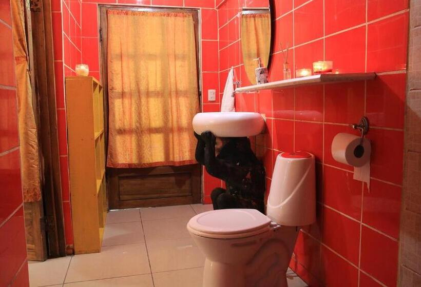 اتاق استاندارد, Madre Selva Hostel