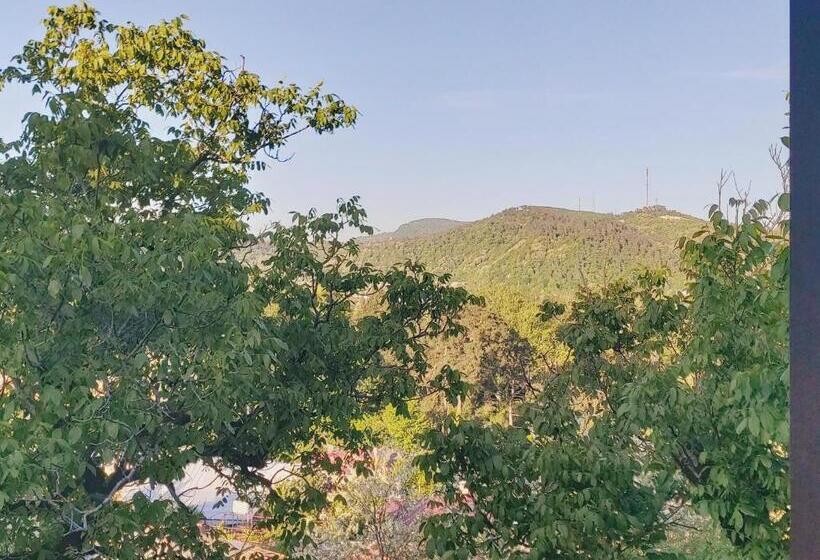 اتاق کلاسیک سه تخته, Guest House Royal Comfort With Terrace
