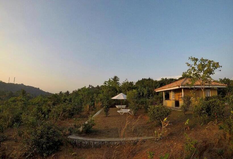 اتاق لوکس با چشم‌انداز دریا, The Horizon Hill Top Villa