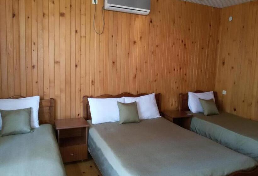 اتاق استاندارد چهارنفره با بالکن, Villa Ureki