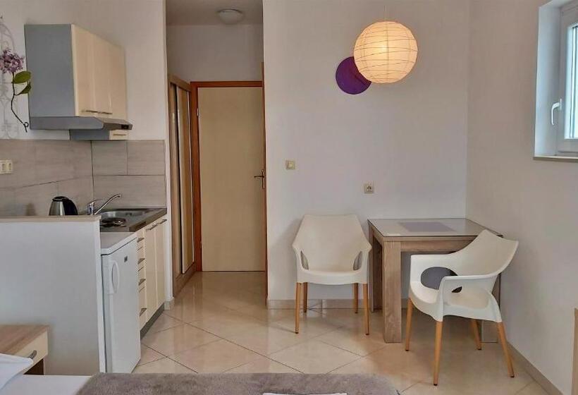 استودیوی استاندارد, Apartments Nemira