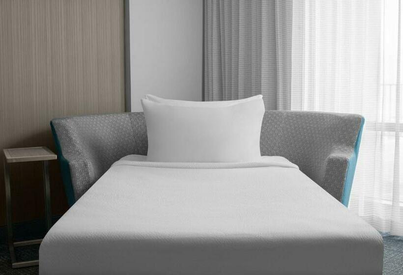 سوئیت با تخت بزرگ, Courtyard By Marriott Clearwater Beach