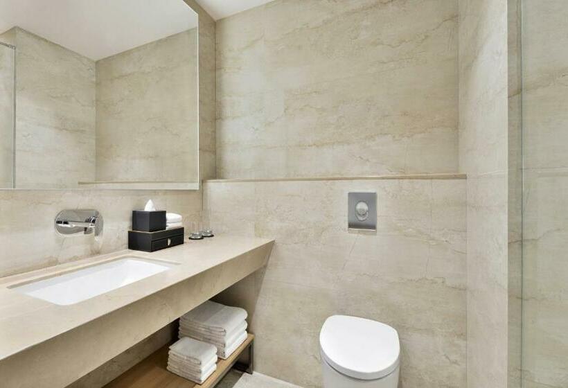 اتاق دلوکس با تخت کینگ و چشم‌انداز شهر, Courtyard By Marriott Nashik
