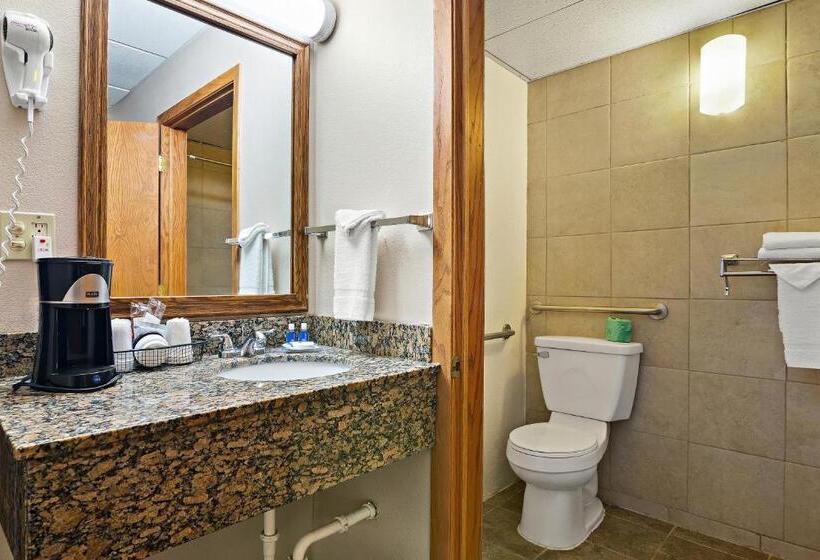 اتاق استاندارد با تخت بزرگ برای معلولان, Rodeway Inn