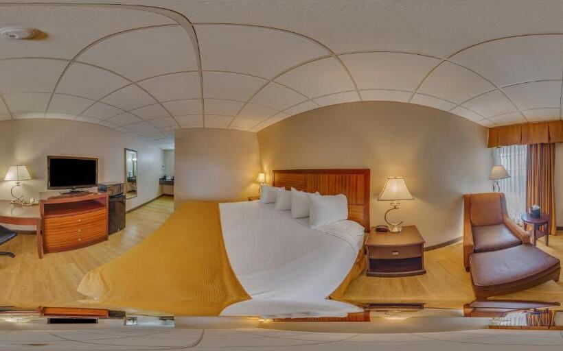 اتاق استاندارد با تخت بزرگ, Rodeway Inn