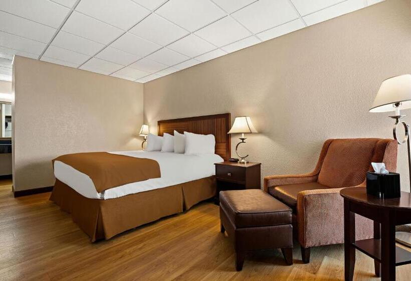 اتاق استاندارد با تخت بزرگ, Rodeway Inn
