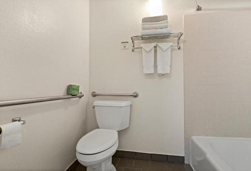 اتاق استاندارد با تخت دو نفره بزرگ برای معلولان, Rodeway Inn