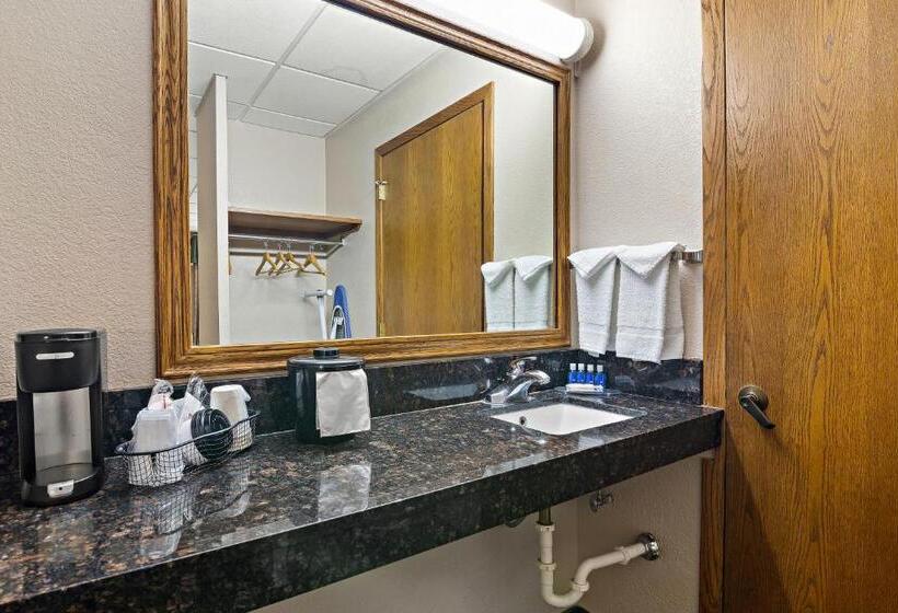 اتاق استاندارد با تخت دو نفره بزرگ برای معلولان, Rodeway Inn