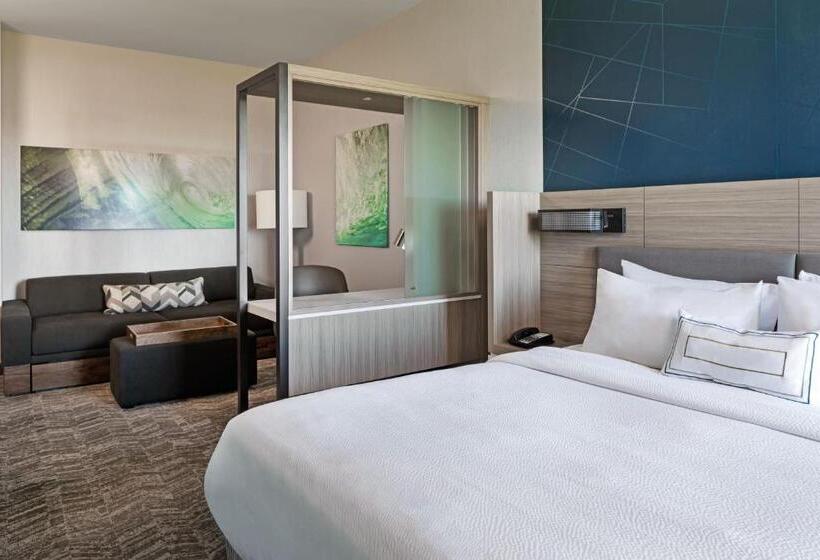 سوئیت با تخت بزرگ, Springhill Suites By Marriott West Sacramento