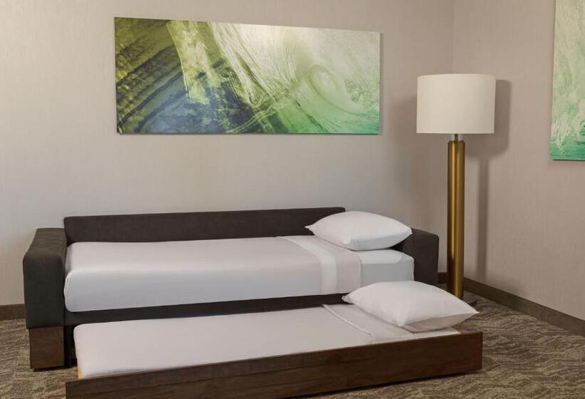 سوییت, Springhill Suites By Marriott West Sacramento