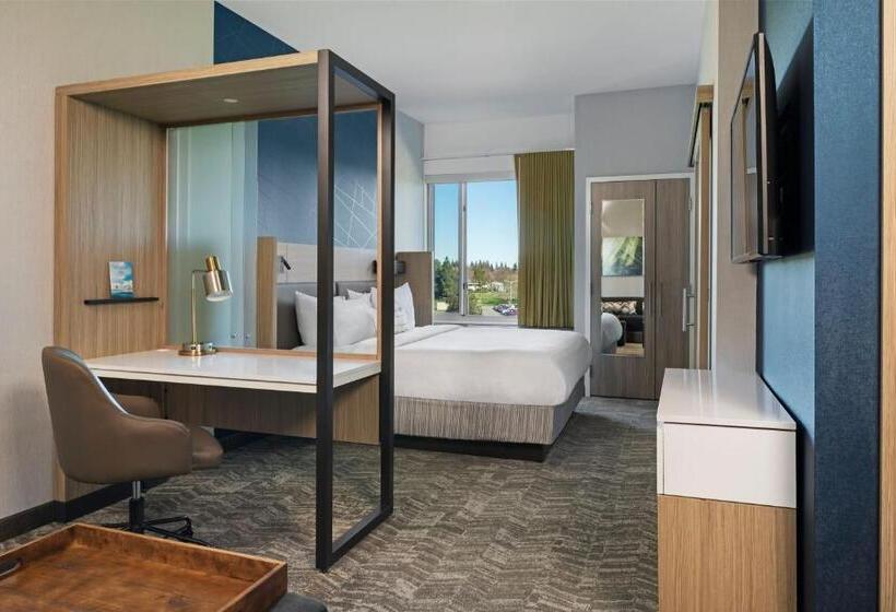 سوئیت برای معلولان, Springhill Suites By Marriott West Sacramento