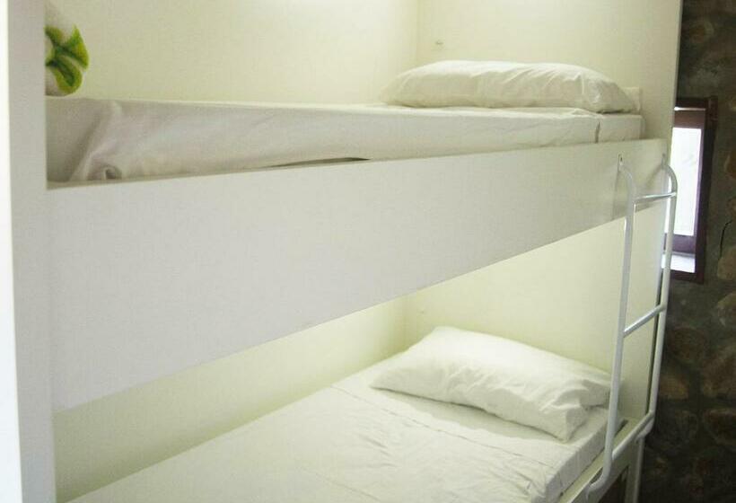 共用房间的床, Albergue Explorer   Hostel