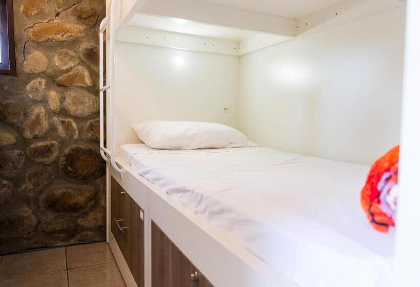 共用房间的床, Albergue Explorer   Hostel