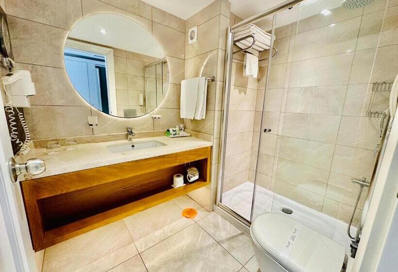اتاق استاندارد با تراس, Sidera Kirman Premium   Ultra All Inclusive