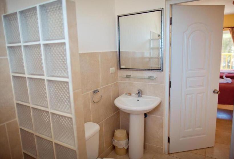 استودیوی استاندارد با چشم‌انداز دریا, Kite Beach Inn
