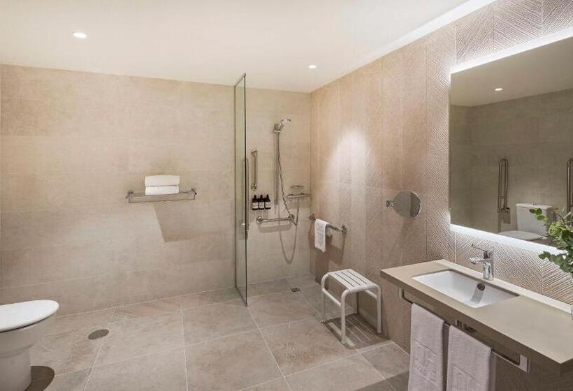 Superior Room with Terrace, NH Alicante