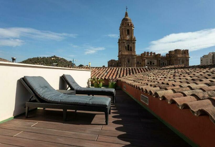 Chambre Standard avec Terrasse, Petit Palace Plaza Málaga