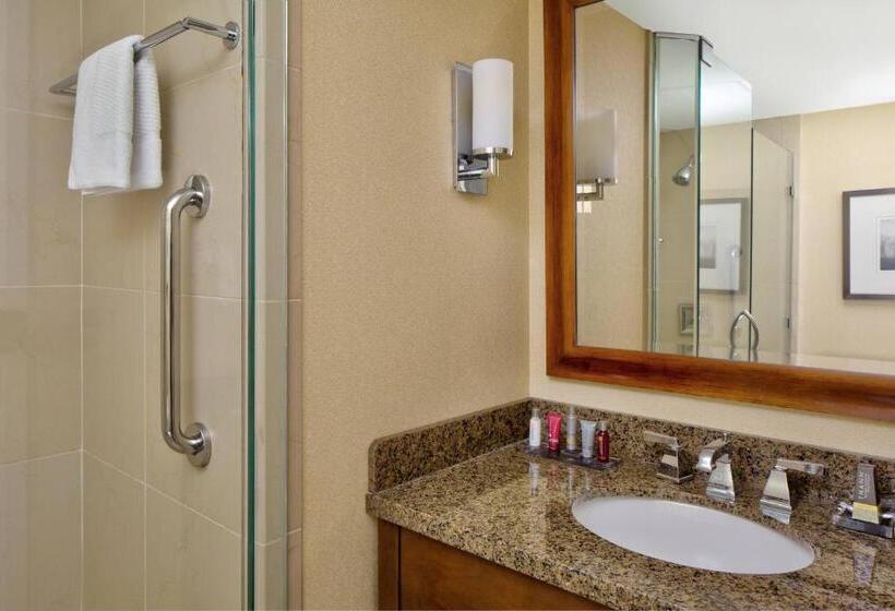 اتاق استاندارد با تخت بزرگ, Wyndham Atlanta Buckhead Hotel & Conference Center