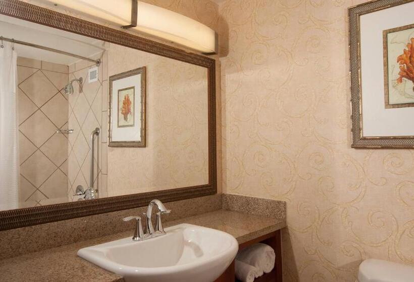 اتاق استاندارد با تخت بزرگ, Courtyard Miami Coral Gables